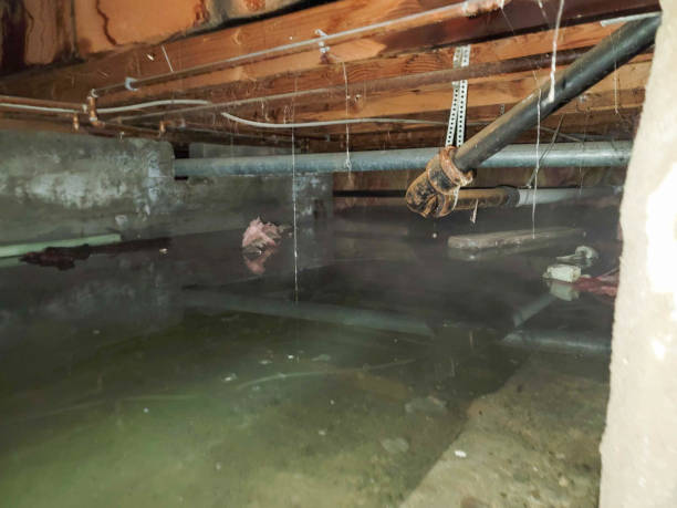 Best Water damage mitigation services  in Armonk, NY